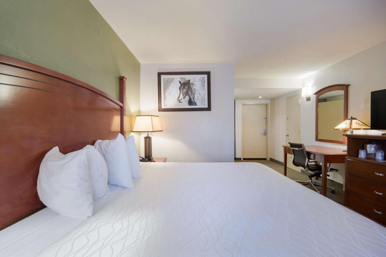 Surestay Plus By Best Western Lawton Luaran gambar